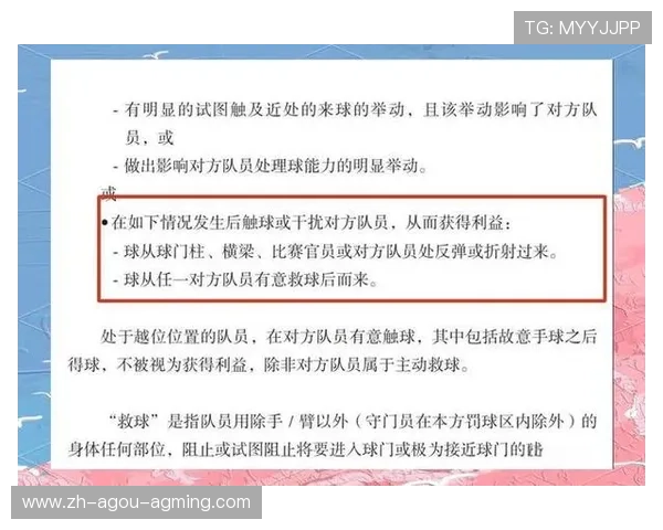 足球裁判员的判罚标准与公正性