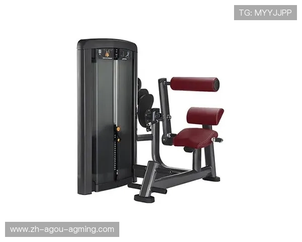 高品质健身器材购买全攻略从哑铃到跑步机